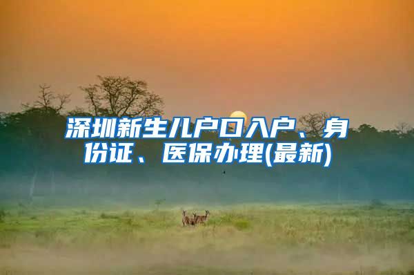 深圳新生兒戶口入戶、身份證、醫(yī)保辦理(最新)