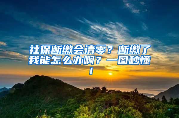 社保斷繳會清零？斷繳了我能怎么辦?。恳粓D秒懂！