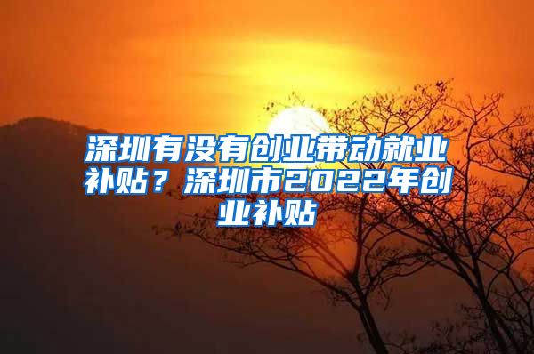 深圳有沒有創(chuàng)業(yè)帶動(dòng)就業(yè)補(bǔ)貼？深圳市2022年創(chuàng)業(yè)補(bǔ)貼