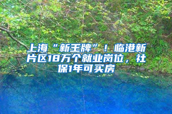 上?！靶峦跖啤保∨R港新片區(qū)18萬個(gè)就業(yè)崗位，社保1年可買房