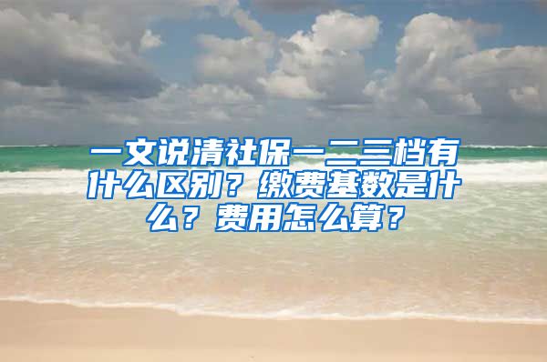 一文說清社保一二三檔有什么區(qū)別？繳費基數是什么？費用怎么算？