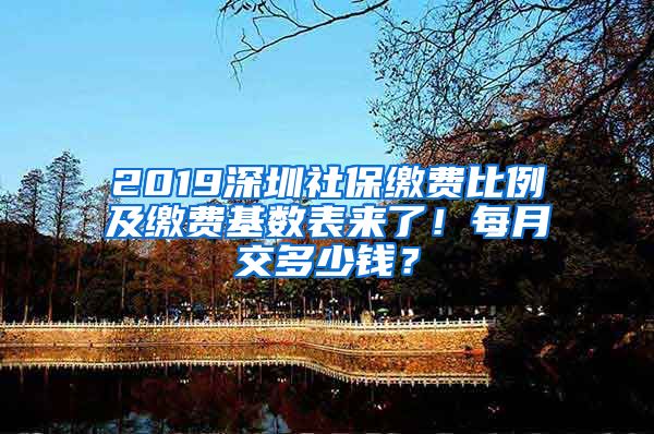 2019深圳社保繳費比例及繳費基數(shù)表來了！每月交多少錢？