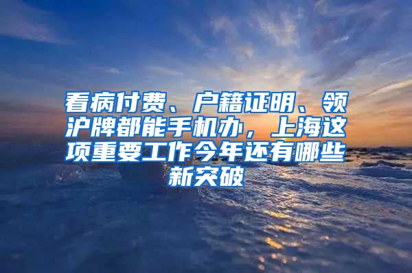 看病付費、戶籍證明、領滬牌都能手機辦，上海這項重要工作今年還有哪些新突破