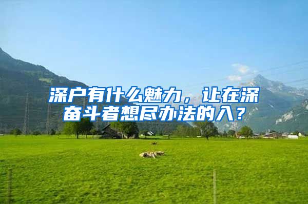 深戶有什么魅力，讓在深?yuàn)^斗者想盡辦法的入？