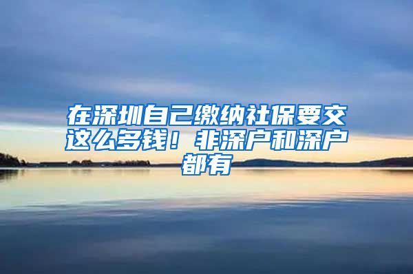 在深圳自己繳納社保要交這么多錢！非深戶和深戶都有