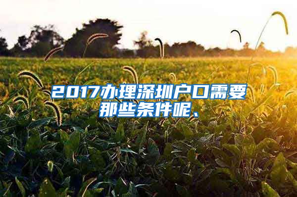 2017辦理深圳戶口需要那些條件呢、