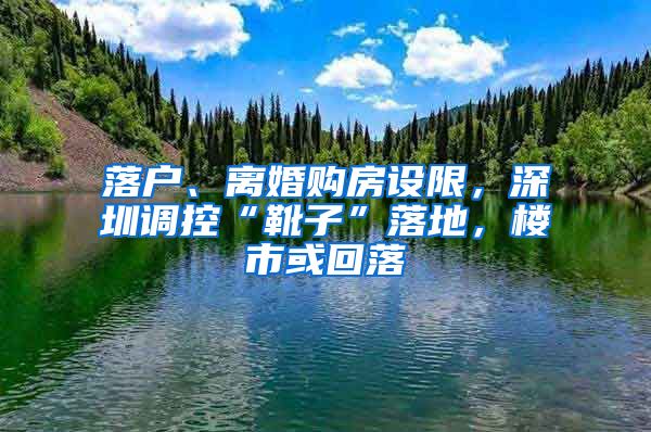 落戶(hù)、離婚購(gòu)房設(shè)限，深圳調(diào)控“靴子”落地，樓市或回落