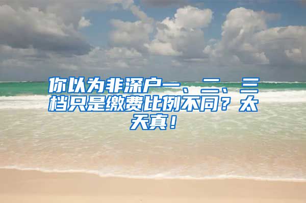 你以為非深戶一、二、三檔只是繳費比例不同？太天真！