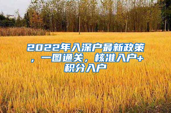 2022年入深戶最新政策，一圖通關(guān)，核準(zhǔn)入戶+積分入戶