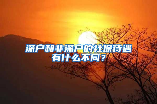 深戶和非深戶的社保待遇有什么不同？