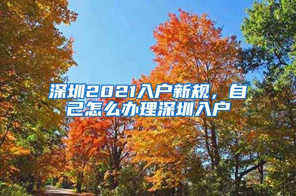 深圳2021入戶新規(guī)，自己怎么辦理深圳入戶