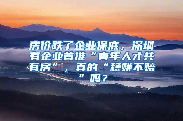 房價(jià)跌了企業(yè)保底，深圳有企業(yè)首推“青年人才共有房”，真的“穩(wěn)賺不賠”嗎？