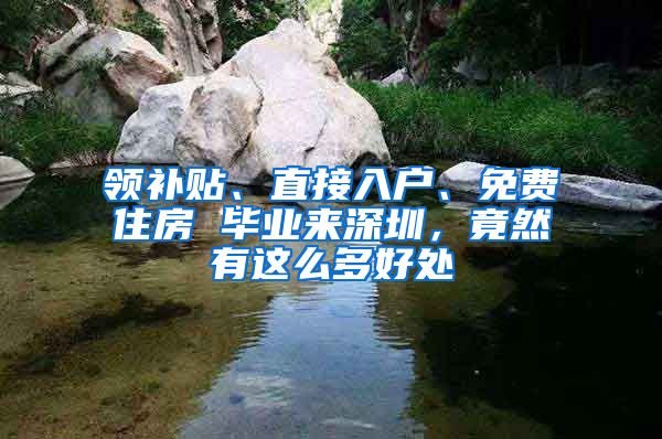 領(lǐng)補(bǔ)貼、直接入戶、免費(fèi)住房 畢業(yè)來深圳，竟然有這么多好處