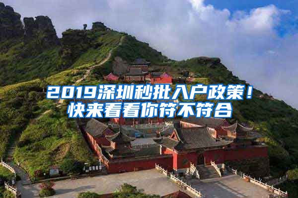 2019深圳秒批入戶政策！快來看看你符不符合