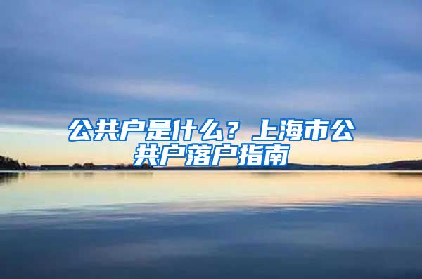 公共戶是什么？上海市公共戶落戶指南