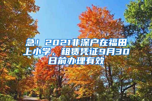 急！2021非深戶在福田上小學(xué)，租賃憑證9月30日前辦理有效