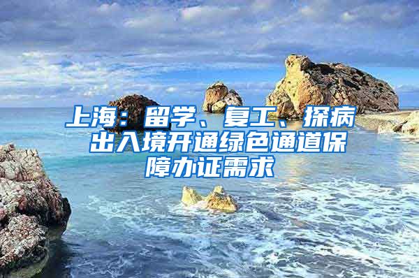 上海：留學、復工、探病 出入境開通綠色通道保障辦證需求