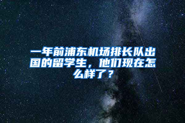 一年前浦東機場排長隊出國的留學生，他們現(xiàn)在怎么樣了？