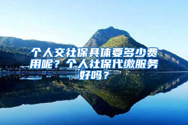 個(gè)人交社保具體要多少費(fèi)用呢？個(gè)人社保代繳服務(wù)好嗎？