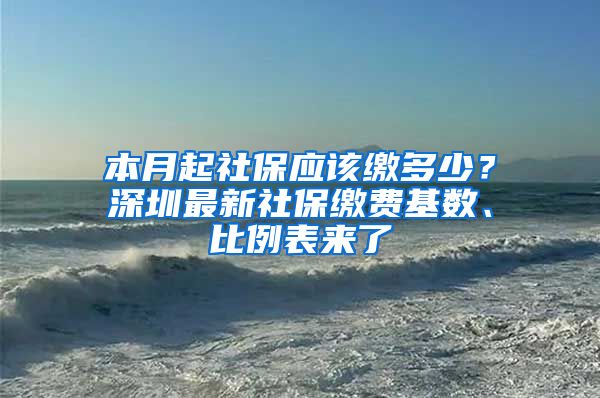 本月起社保應(yīng)該繳多少？深圳最新社保繳費(fèi)基數(shù)、比例表來(lái)了