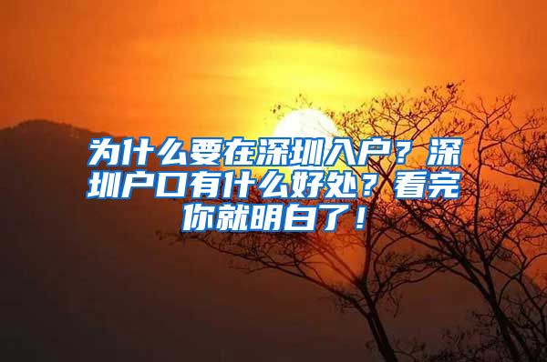 為什么要在深圳入戶？深圳戶口有什么好處？看完你就明白了！