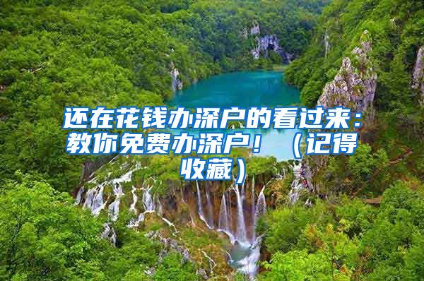 還在花錢辦深戶的看過來：教你免費(fèi)辦深戶！（記得收藏）