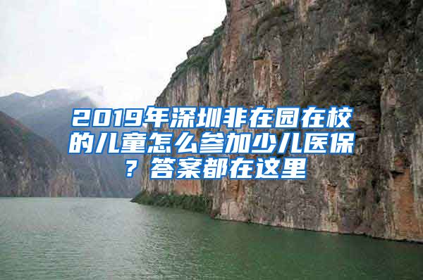 2019年深圳非在園在校的兒童怎么參加少兒醫(yī)保？答案都在這里