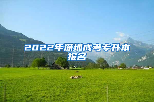 2022年深圳成考專升本報(bào)名