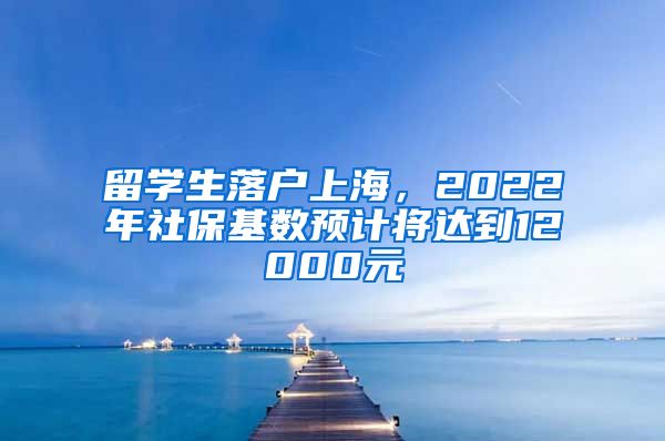 留學(xué)生落戶上海，2022年社?；鶖?shù)預(yù)計(jì)將達(dá)到12000元