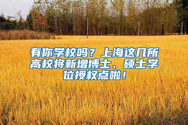 有你學校嗎？上海這幾所高校將新增博士、碩士學位授權(quán)點啦！