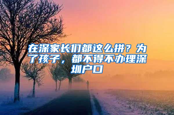 在深家長(zhǎng)們都這么拼？為了孩子，都不得不辦理深圳戶口