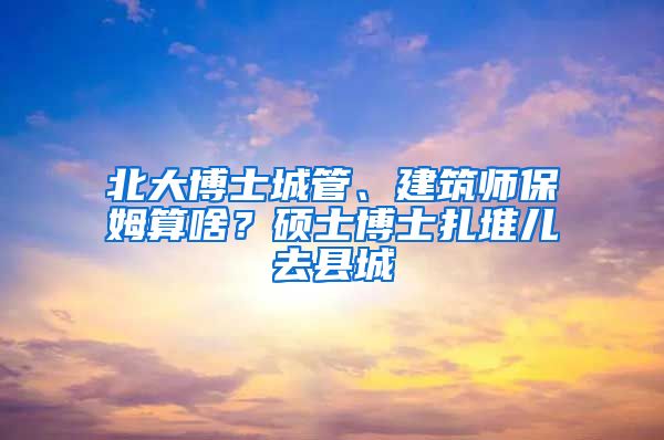 北大博士城管、建筑師保姆算啥？碩士博士扎堆兒去縣城