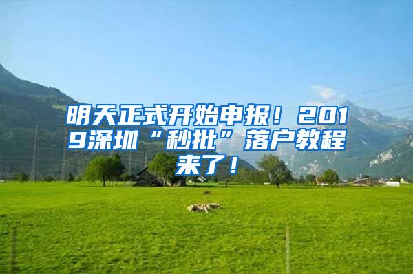 明天正式開始申報！2019深圳“秒批”落戶教程來了！