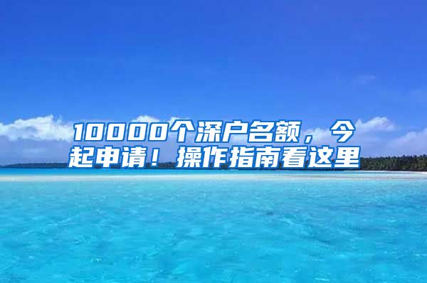 10000個深戶名額，今起申請！操作指南看這里