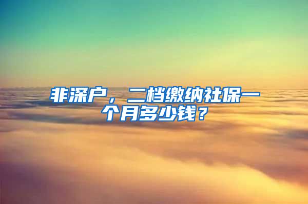 非深戶，二檔繳納社保一個月多少錢？