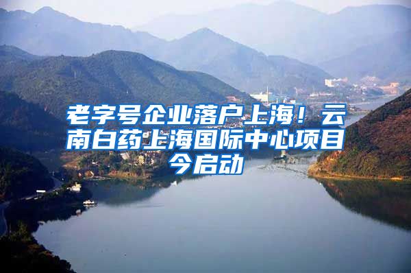 老字號企業(yè)落戶上海！云南白藥上海國際中心項目今啟動