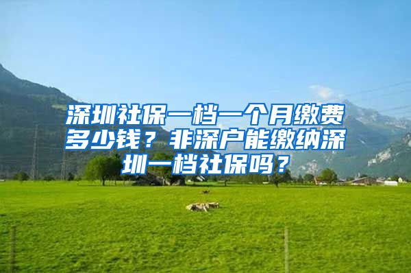 深圳社保一檔一個月繳費多少錢？非深戶能繳納深圳一檔社保嗎？