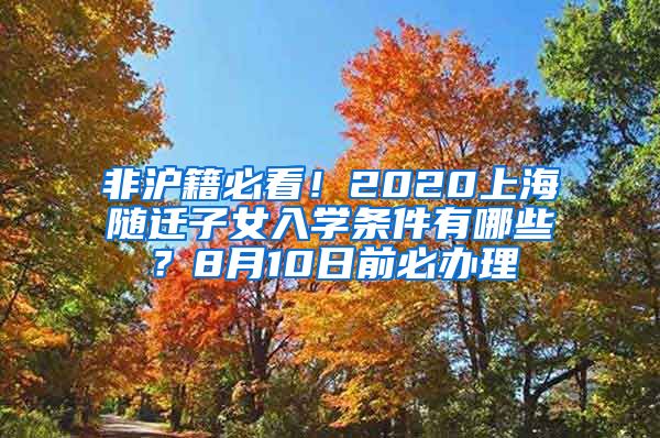 非滬籍必看！2020上海隨遷子女入學(xué)條件有哪些？8月10日前必辦理