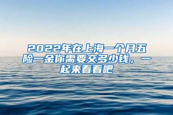 2022年在上海一個(gè)月五險(xiǎn)一金你需要交多少錢，一起來(lái)看看吧