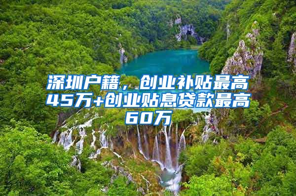 深圳戶籍，創(chuàng)業(yè)補貼最高45萬+創(chuàng)業(yè)貼息貸款最高60萬