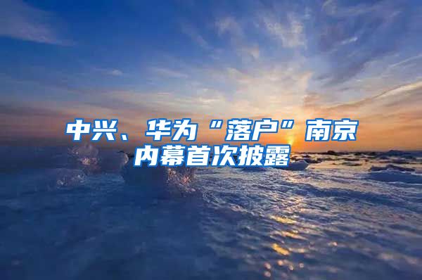 中興、華為“落戶”南京內(nèi)幕首次披露