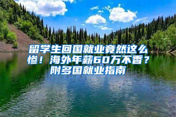 留學(xué)生回國就業(yè)竟然這么慘！海外年薪60萬不香？附多國就業(yè)指南