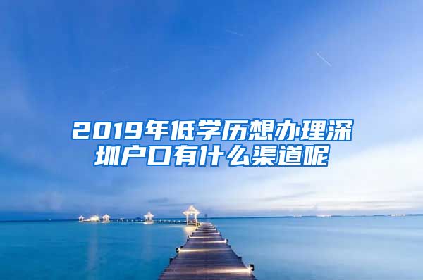 2019年低學(xué)歷想辦理深圳戶(hù)口有什么渠道呢