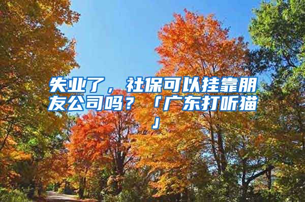 失業(yè)了，社?？梢話炜颗笥压締?？「廣東打聽貓」