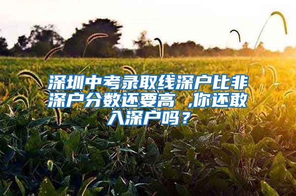 深圳中考錄取線深戶比非深戶分數(shù)還要高 ,你還敢入深戶嗎？