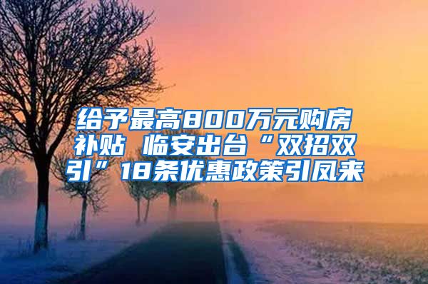 給予最高800萬元購房補(bǔ)貼 臨安出臺“雙招雙引”18條優(yōu)惠政策引鳳來