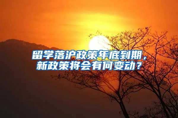 留學(xué)落滬政策年底到期，新政策將會有何變動？