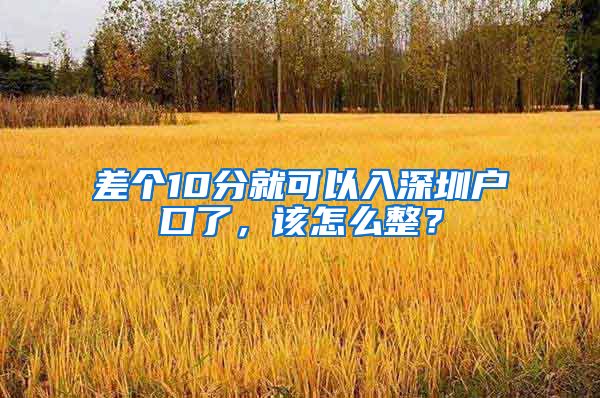 差個10分就可以入深圳戶口了，該怎么整？