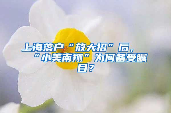 上海落戶“放大招”后，“小美南翔”為何備受矚目？