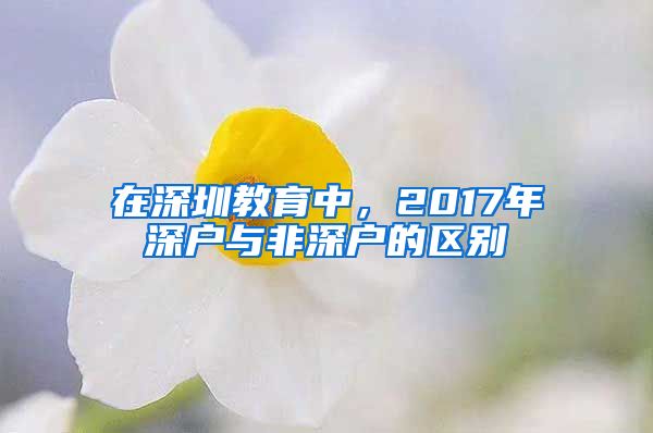 在深圳教育中，2017年深戶與非深戶的區(qū)別